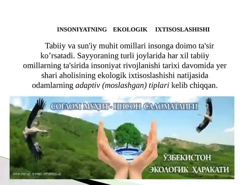 Ekologiyavainson 3