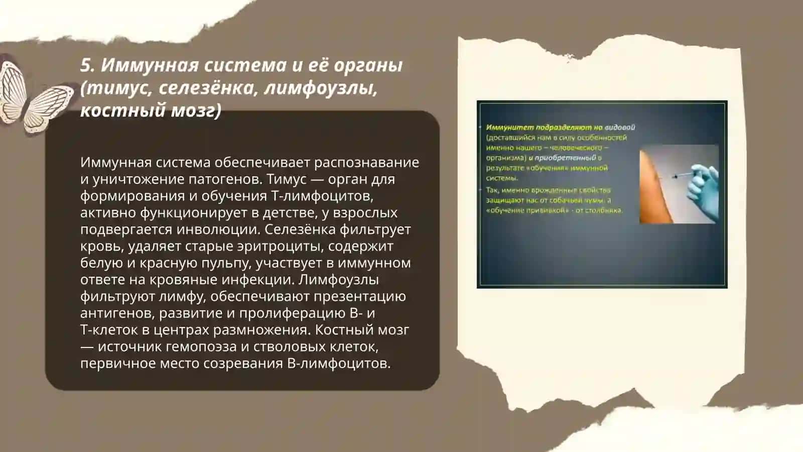 Иммунитет 3