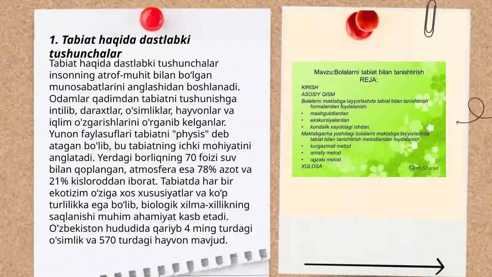 Matabdagacha yoshdagi bolalarni tabiat bilan tanishtirish bo'yicha davlat talablari 3