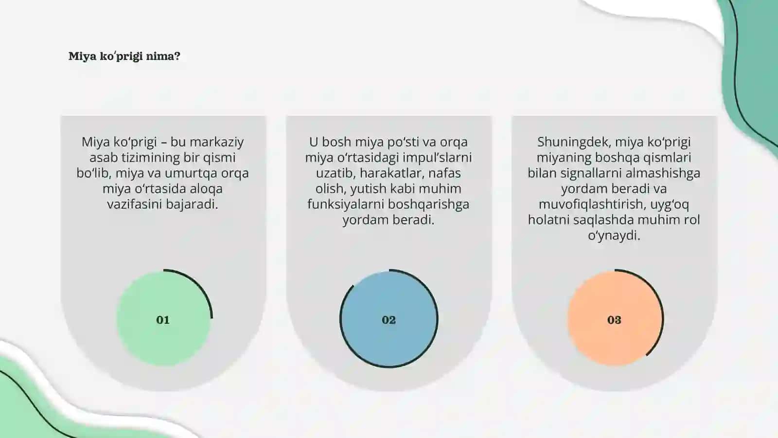 Miya ko’prigi 3