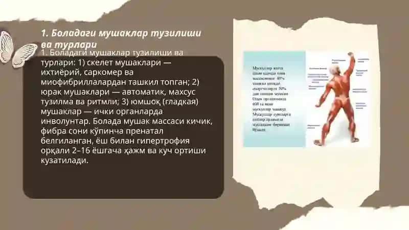 Мускуллар фаолияти ва боланинг жисмоний имкониятлари 3