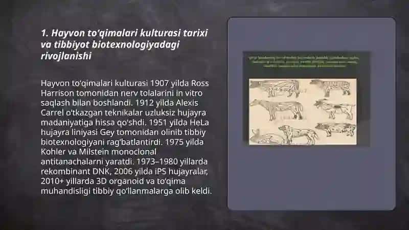 Hayvon toʻqimalari kulturasi tibbiyot biotexnologiyada 3