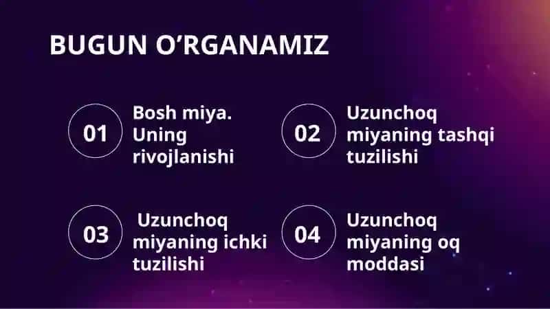 Uzunchoqmiya 3