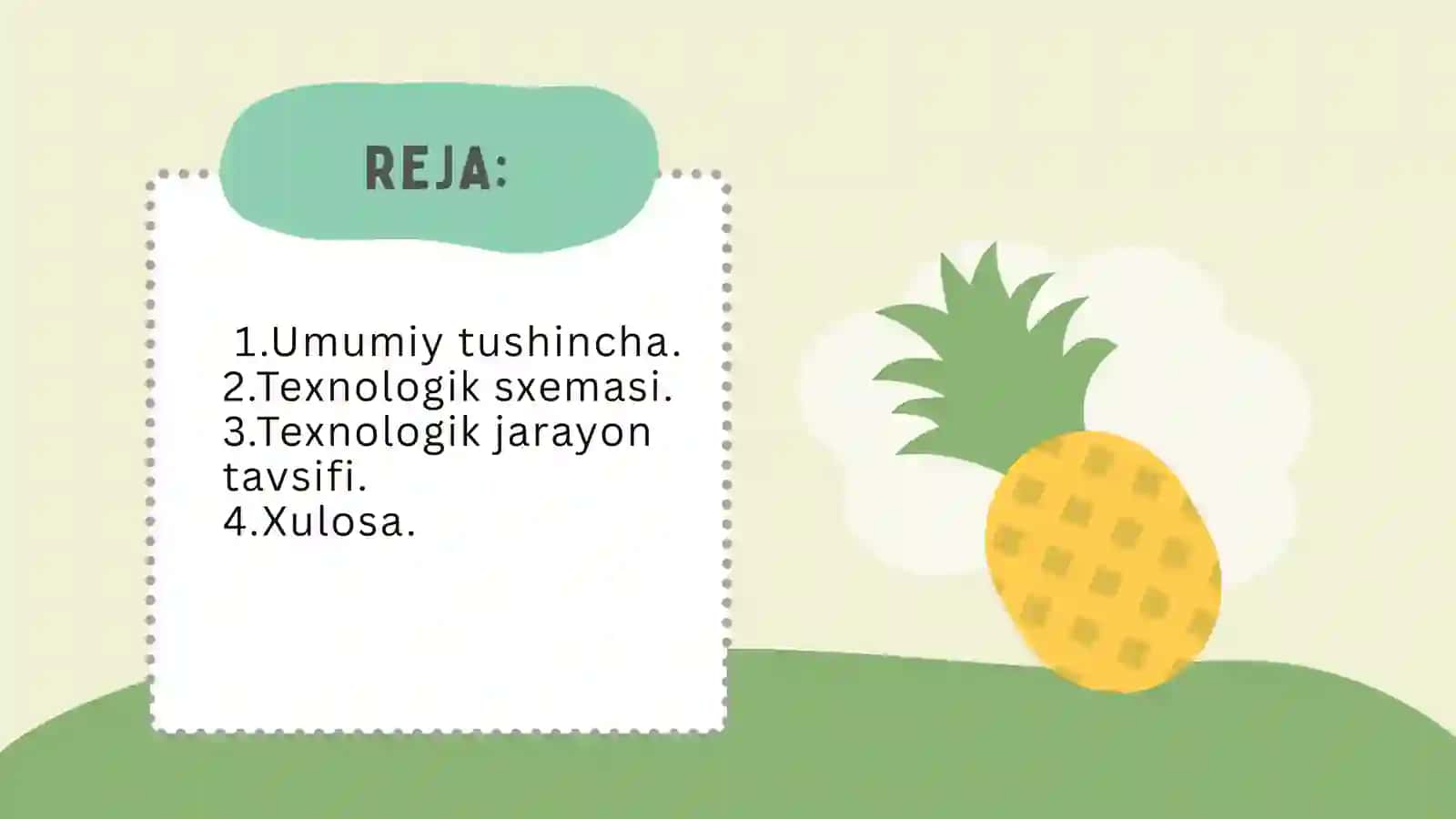 Ananas qurutish 3