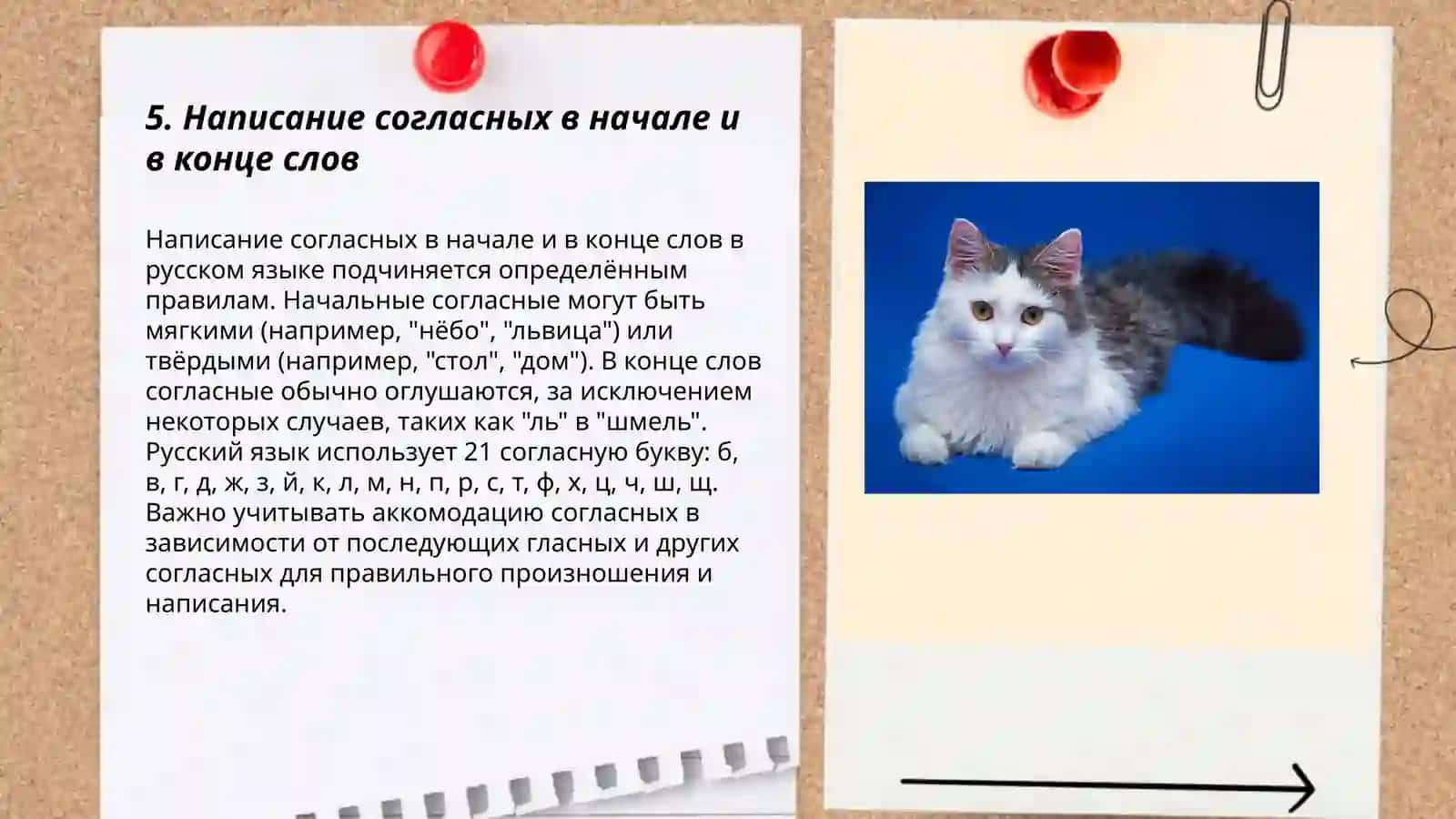 Паронимы и их использование в речи 3