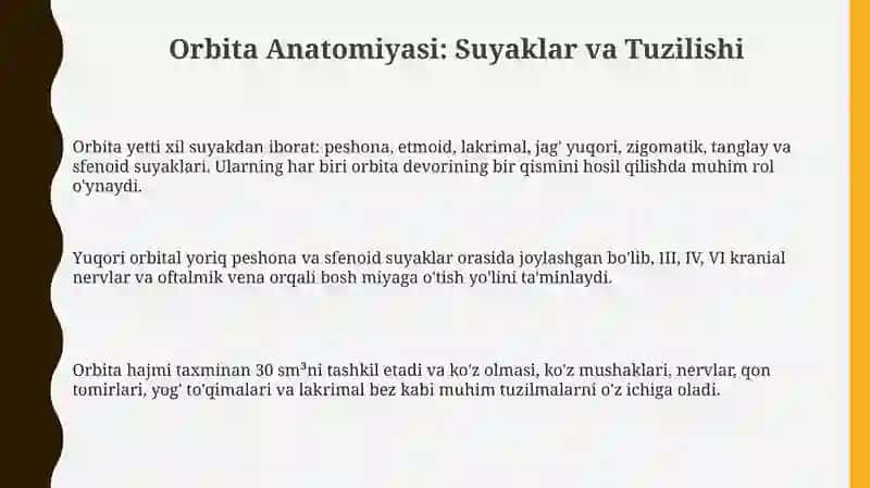 Orbita Anatomiyasi 3