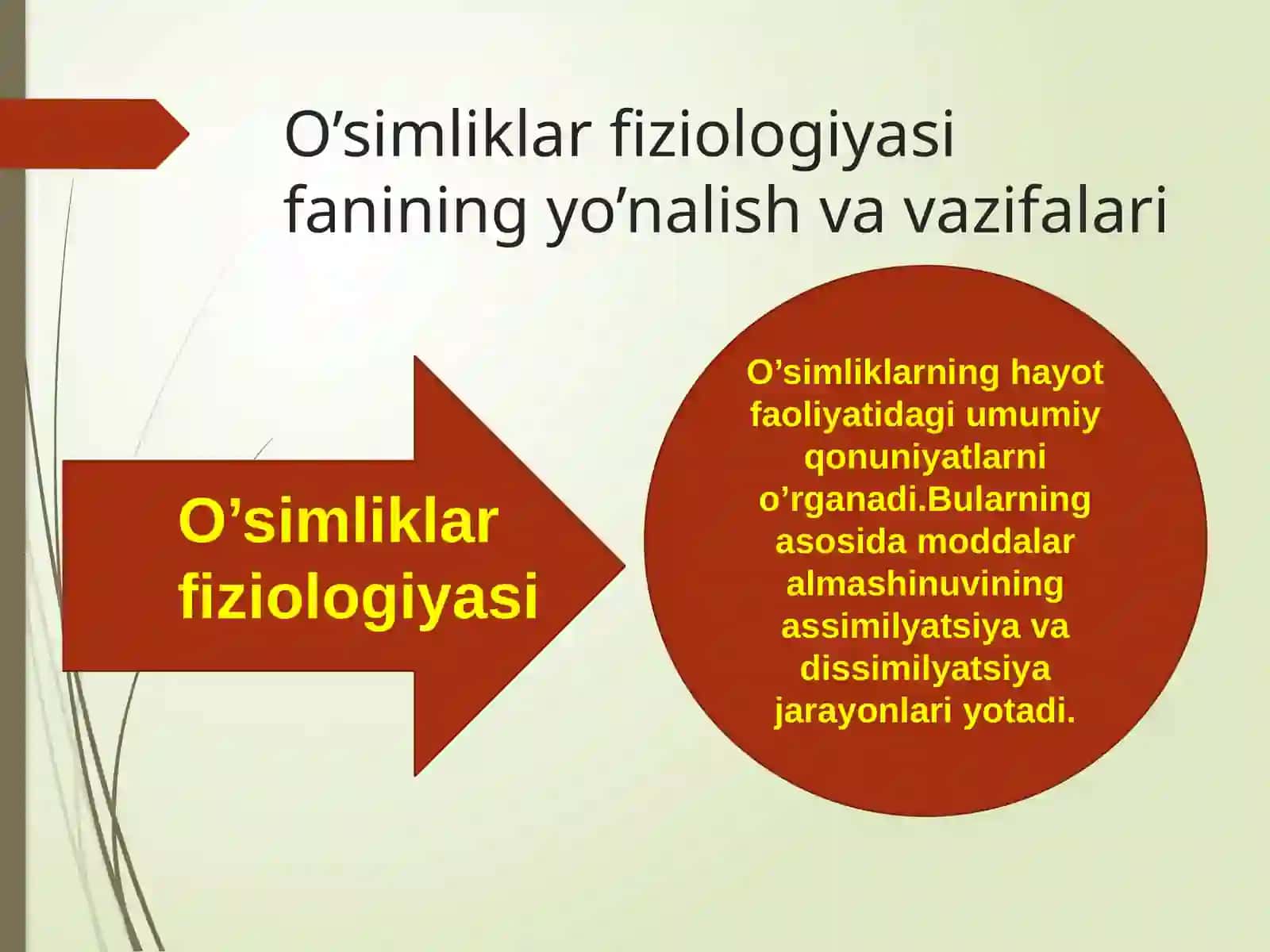 O’simliklar fiziologiyasi fani maqsadi va vazifalari 3