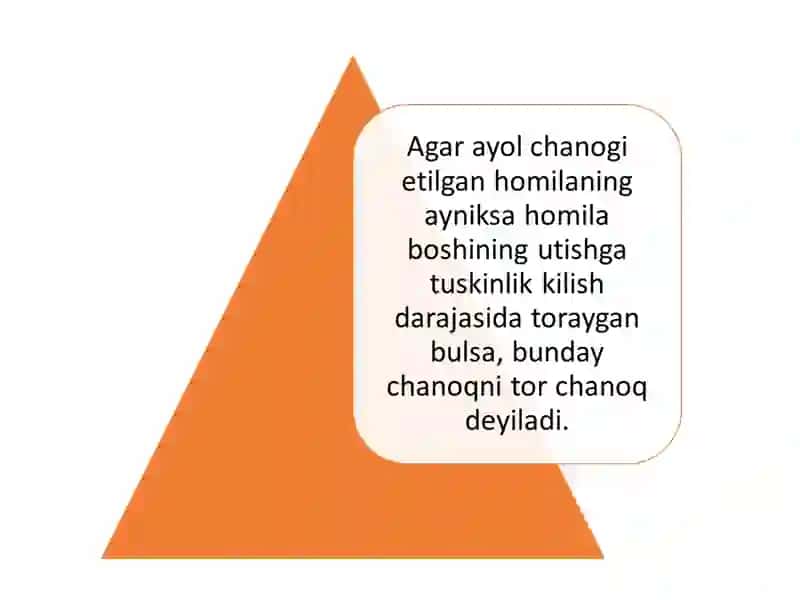 Tor chanoq anatomiyasi 3
