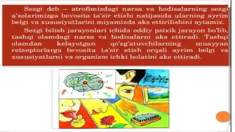 SEZGI 3