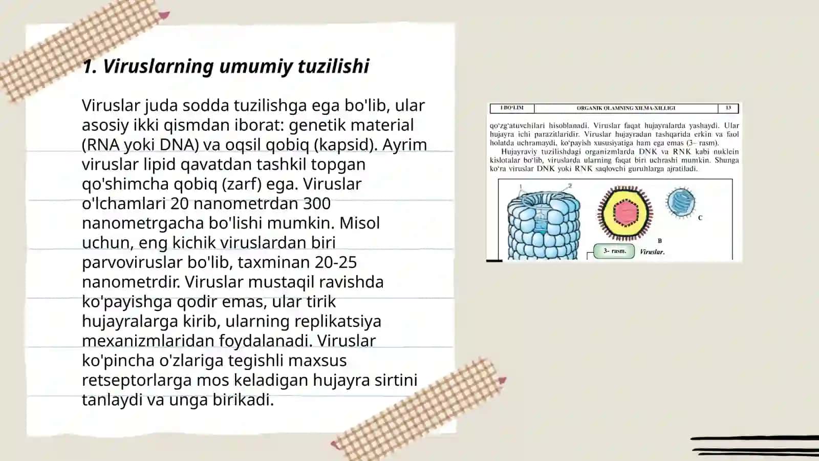 Viruslar 3