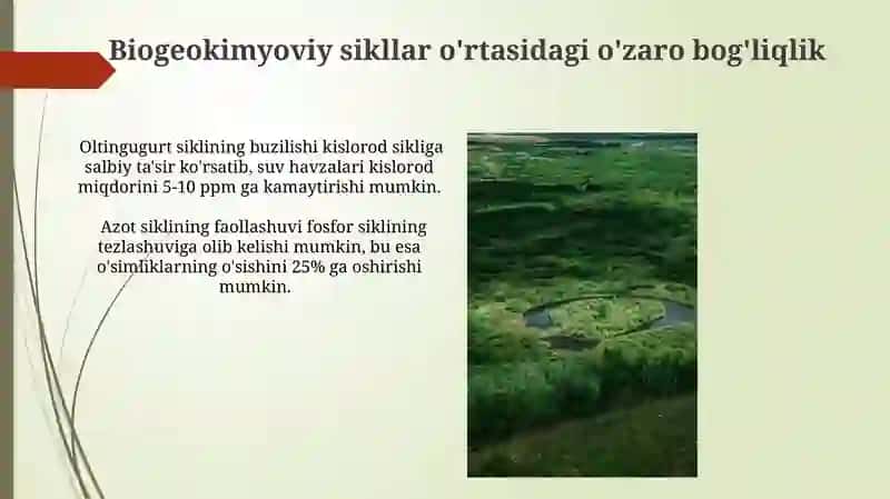 Landshaftlarda moddalarning biokimyoviy aylanishi 3