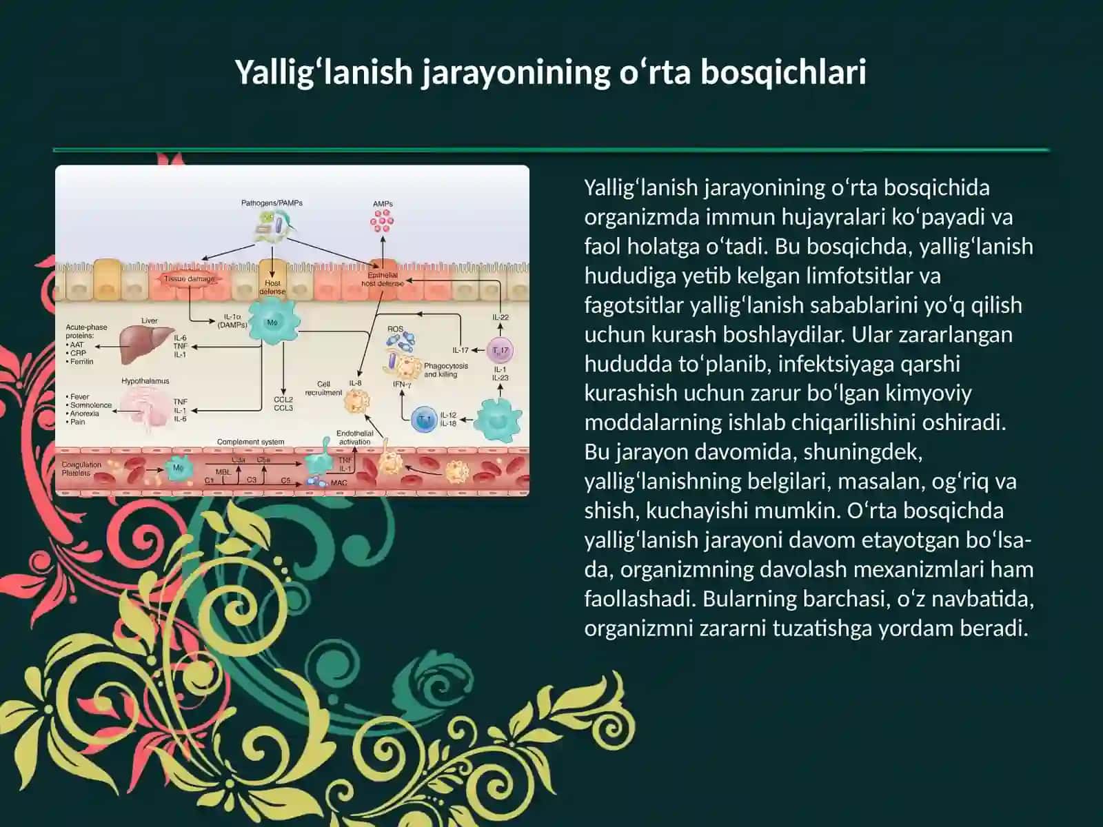 ANATOMIYA fanidan bajargan mustaqil taʼlim ishi 3