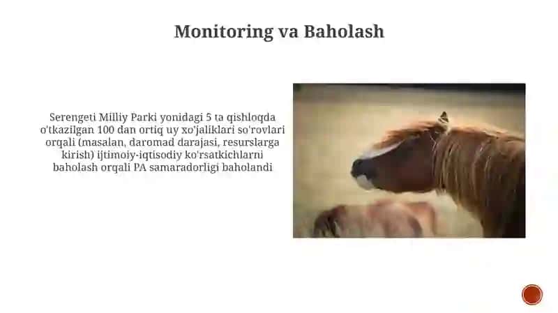 Monitoring va Baholash 3