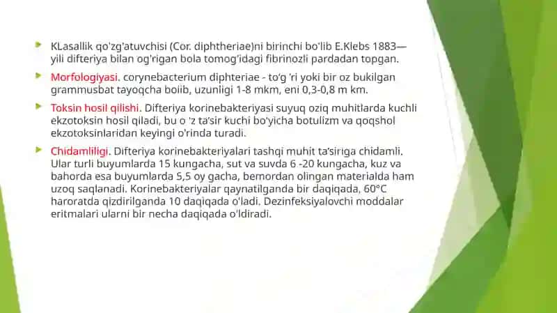 Korenobakteriyalar 3