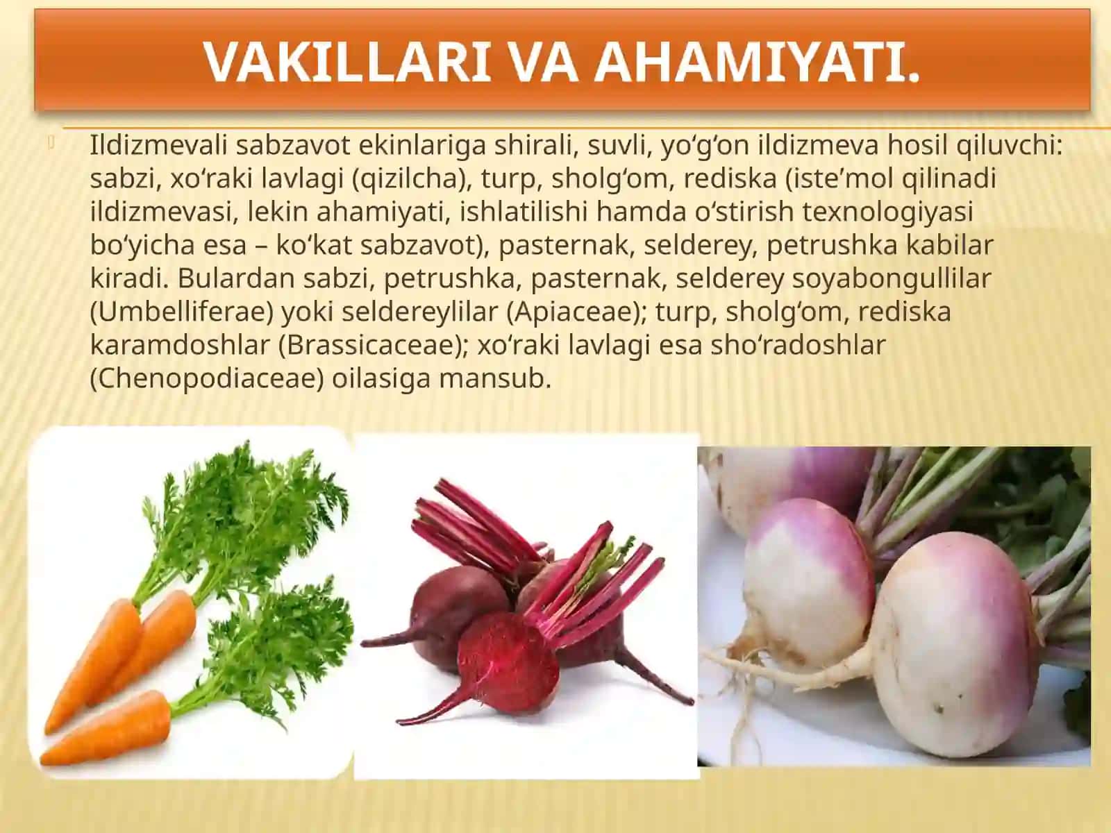 Ildizmevalilarni ahamiyati, biologik xususiyatlari va tumanlashtirilgan navlari 3