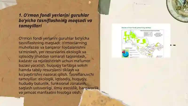 Oʻrmon fondi yerlarinin tasnifi 3