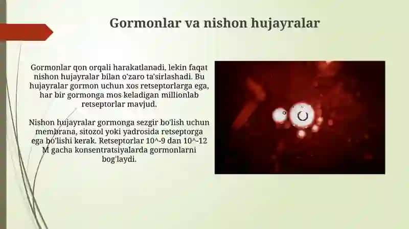 Garmonlarning nishon hujayralarga taʼsir mexanizmi 3
