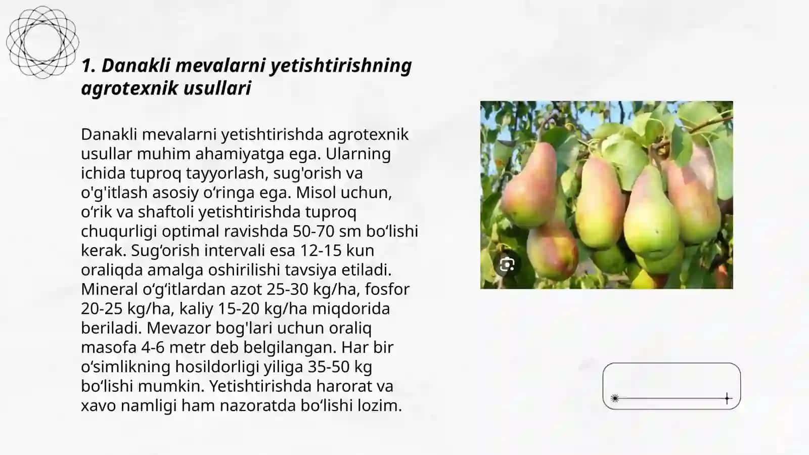 Danakli mevalarni yetishtirish va ularga shakl berish texnologiyasi 3