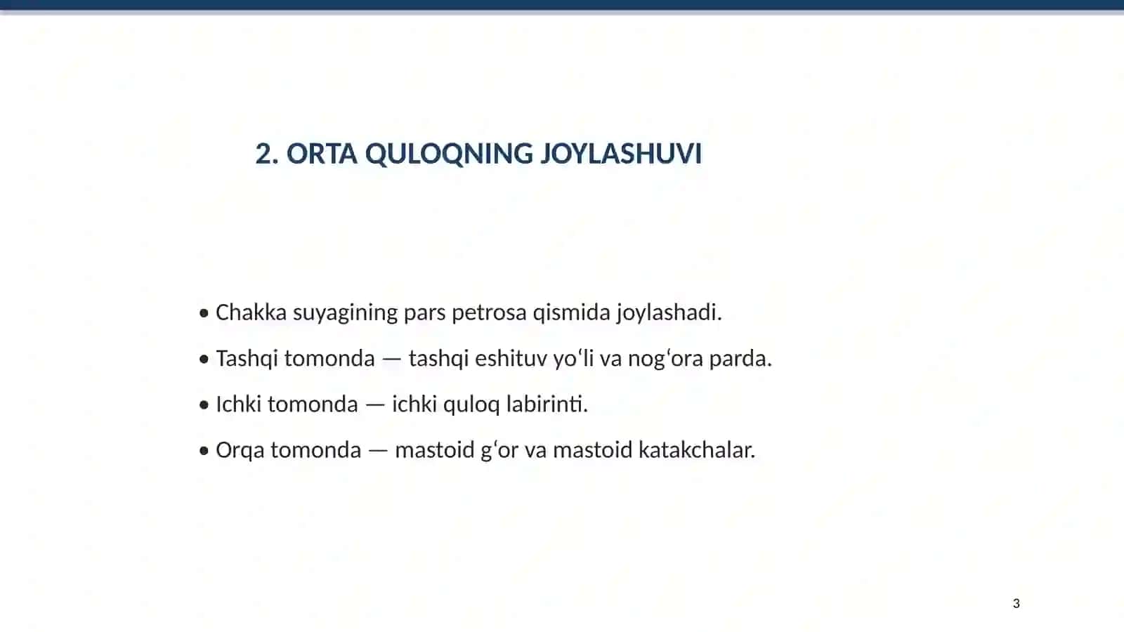 ORTA QULOQ ANATOMIYASI 3
