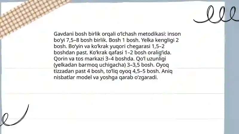 Inson gavdasini nisbatlar asosida chizish 3