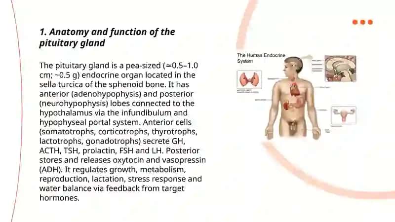 Endocrin system 3