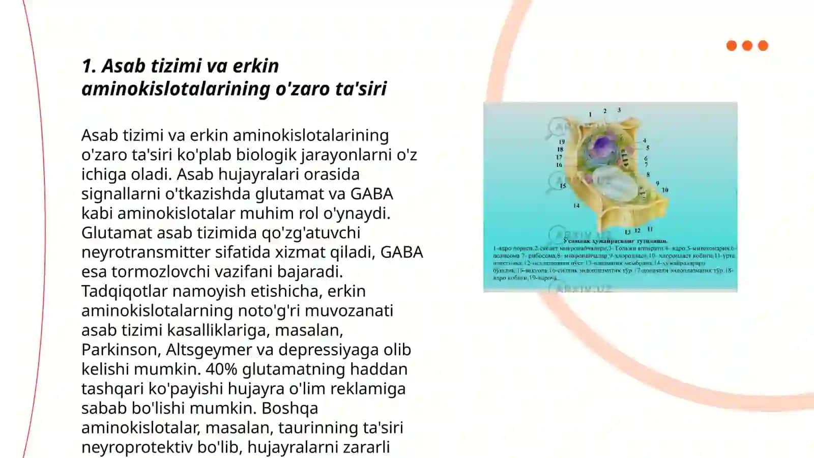 Asab tizimi erkin aminokislotalari, neyropeptidlari va hujayra membranalari lipidlari 3
