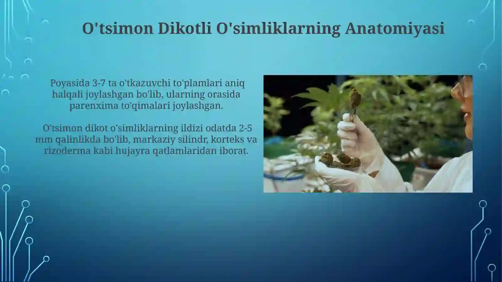 Intradutsentoʻtsimondirivoroʻsimliklarnioʻrganish 3