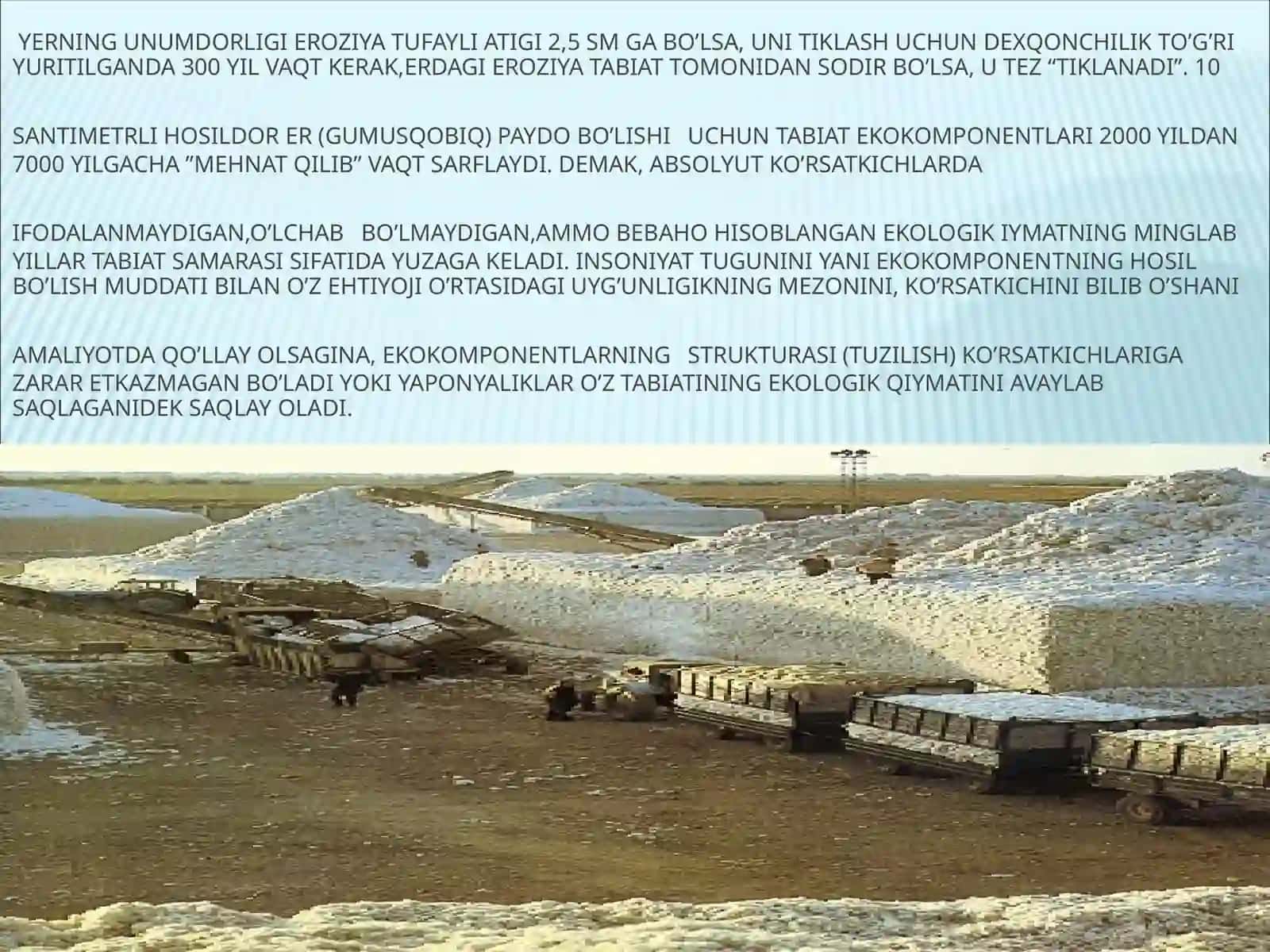 Тупроқнинг органик қисми ва унумдорлиги 3