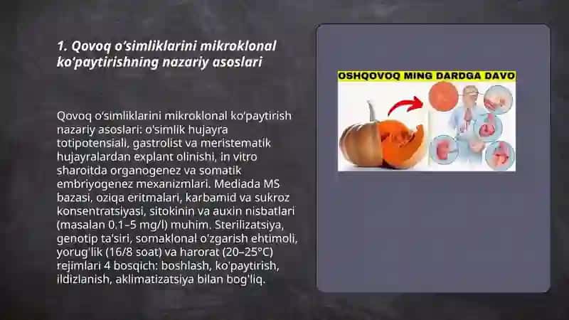Qovoq oʻsimlikgini mikroklonal koʻpaytirish usuli va uni foyda va zarari 3