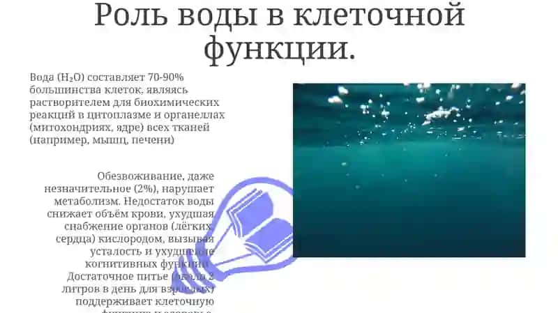 Чистая вода - источник здоровья 3