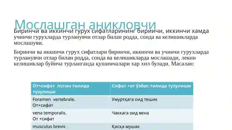 Моslashgan aniqlovchi ishtirokida anatomic terminlar 3
