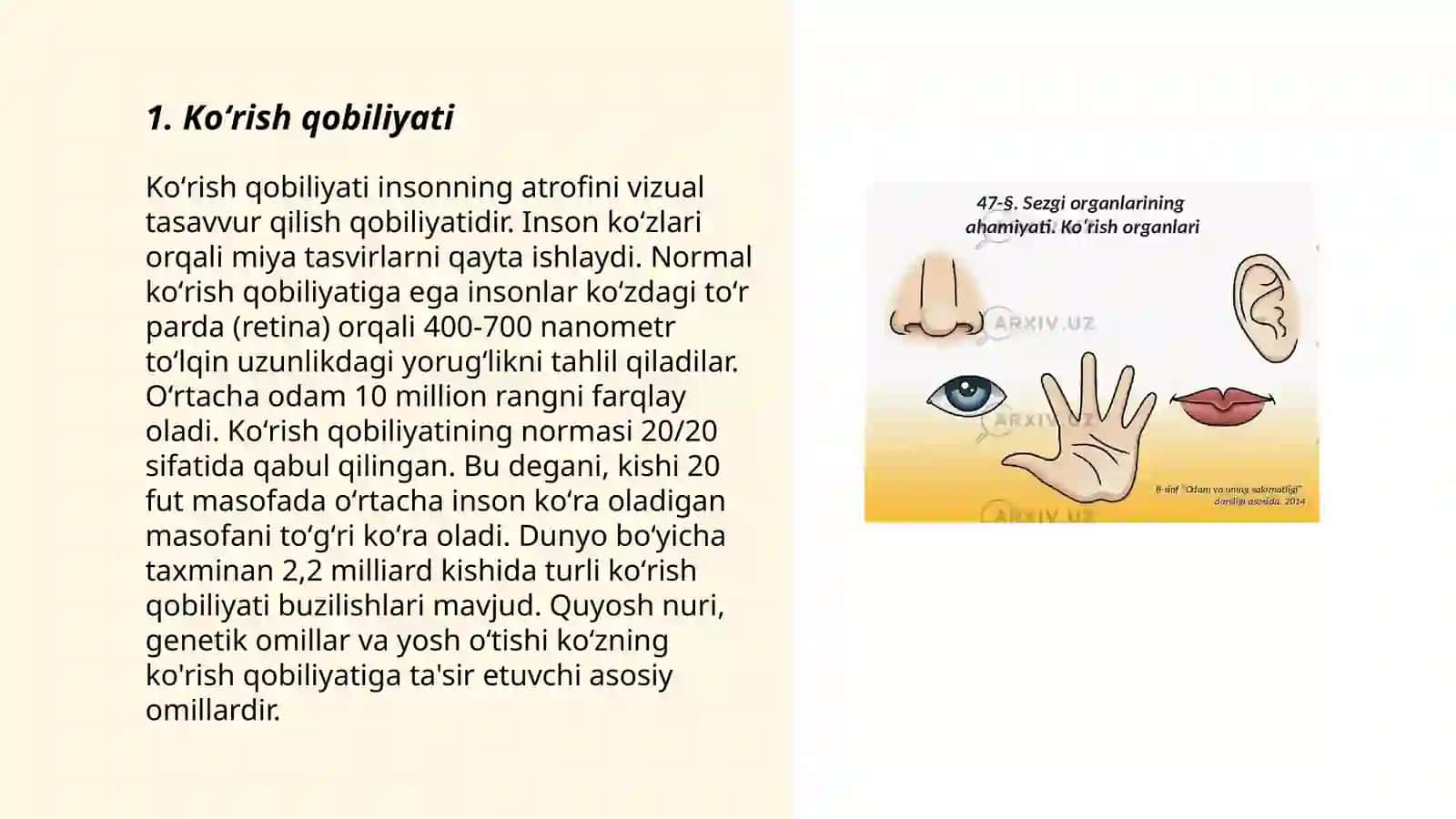 Sezgi aʼzolari 3
