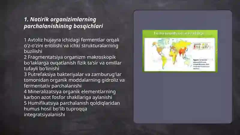 Notirik organizimlarning parchalanishi 3