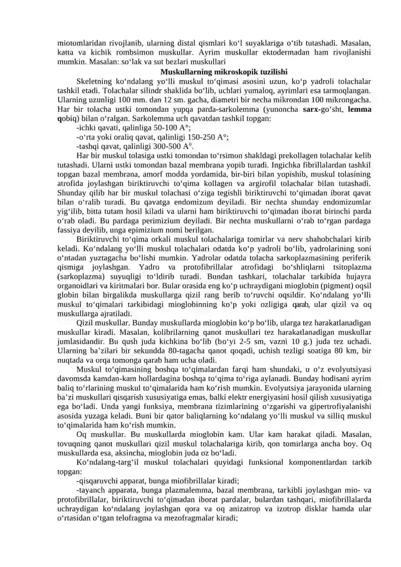 MIOLOGIYA 3