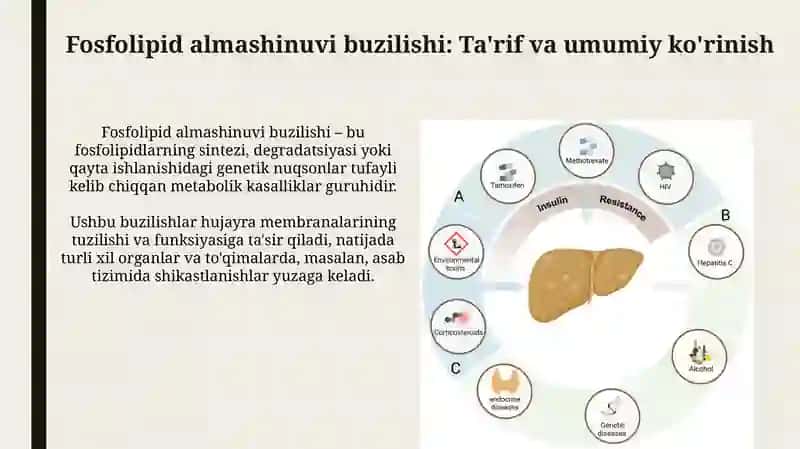 Fosfolipidlar almashinuvi buzilishi 3