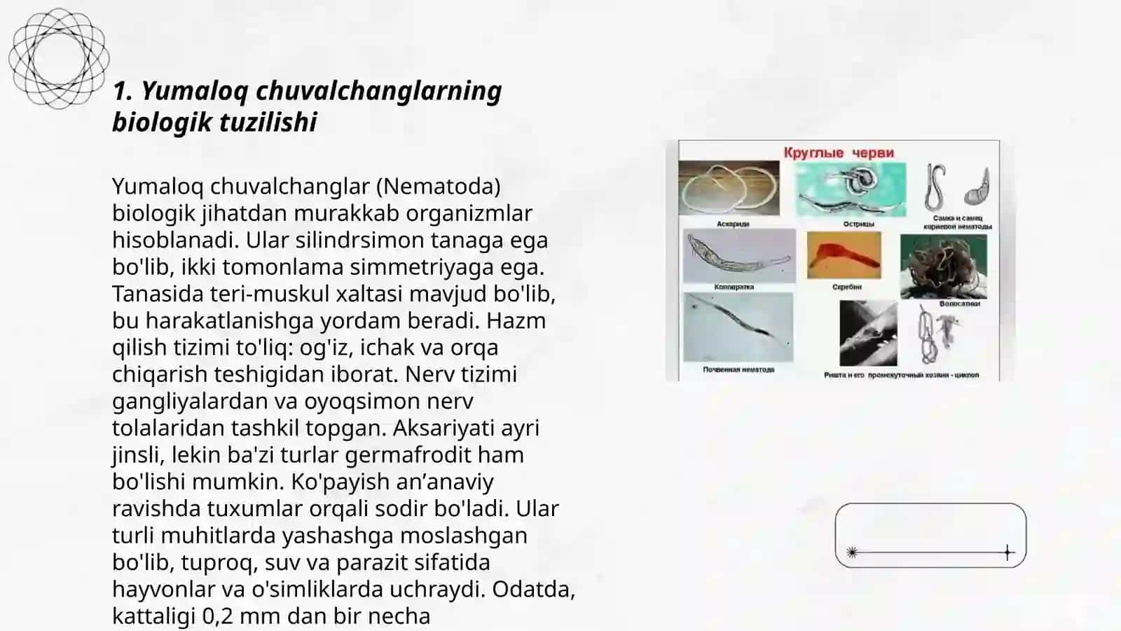 Yumaloq chuvalchanglar 3