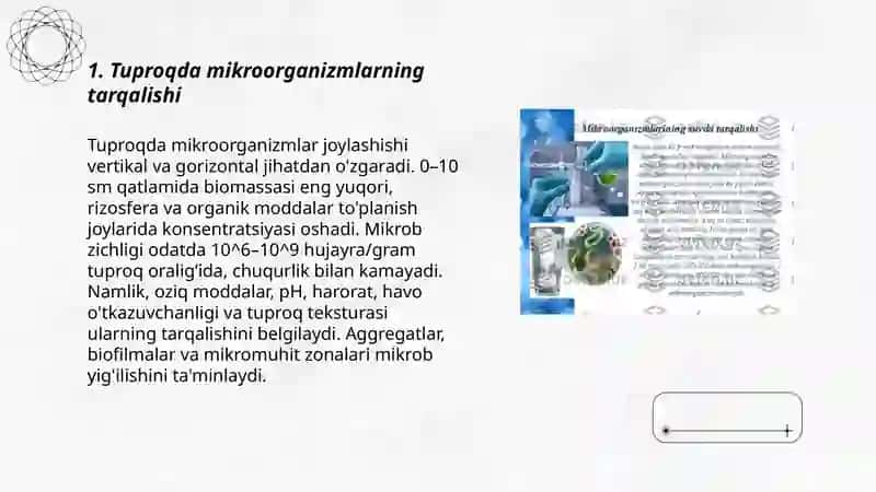 Mikroorganizmlarning tabiatda tarqalishi 3