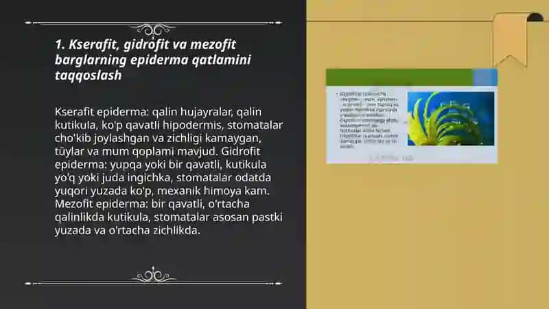 Turli yashash muhtidagi(kserafit,gidrofit,mezofit) barglarning tuzilishini solishtirish 3