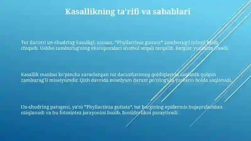 Tutdaraxti un-shudring kasalligi 3