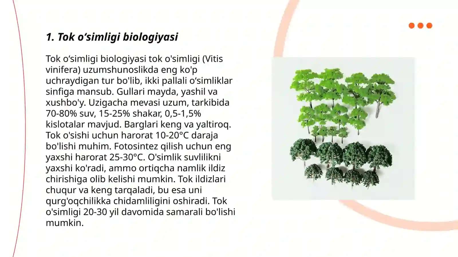 Tok oʻsimligi biologiyasi 3