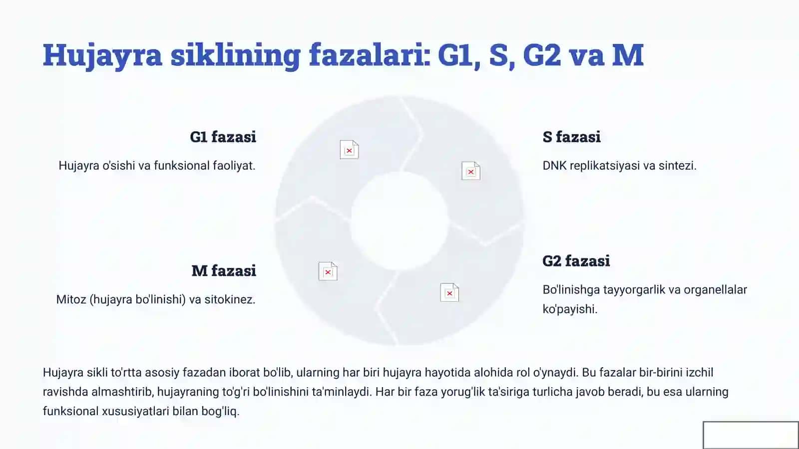 Hujayraning hayot sikli va uning turli fazalarida nurga sezgirlik 3