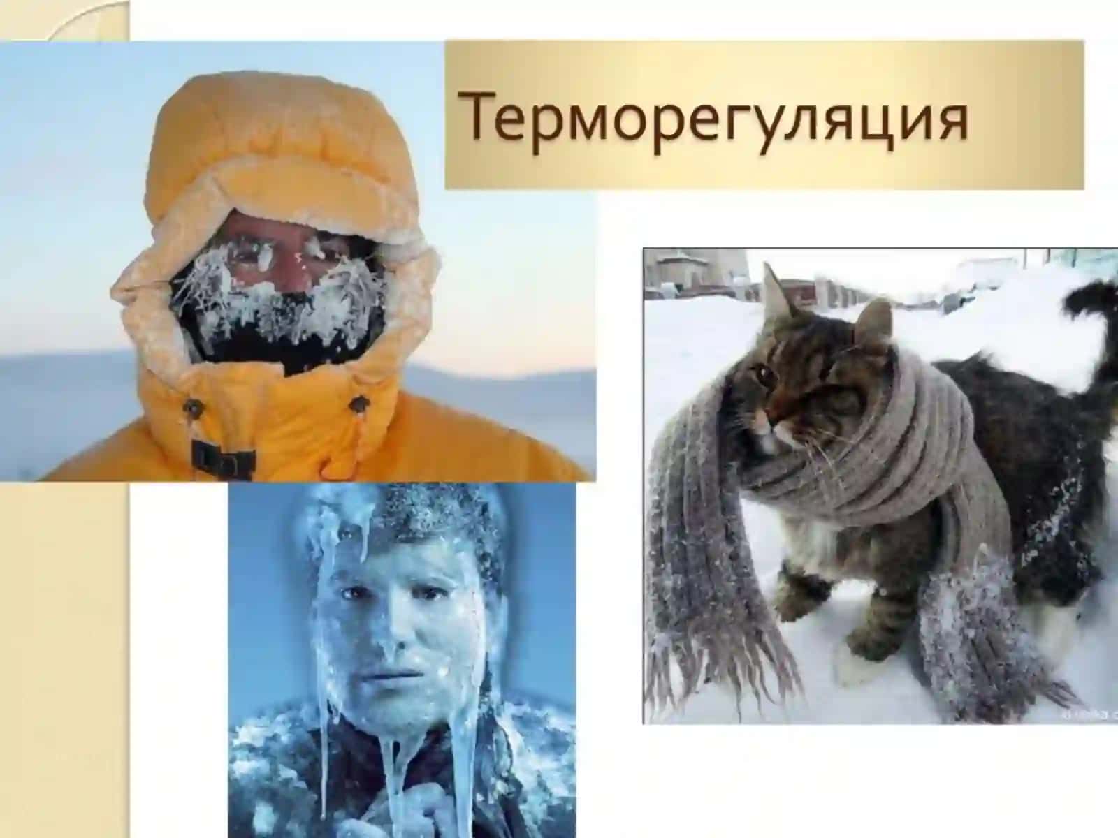 Иситма патологияси 3