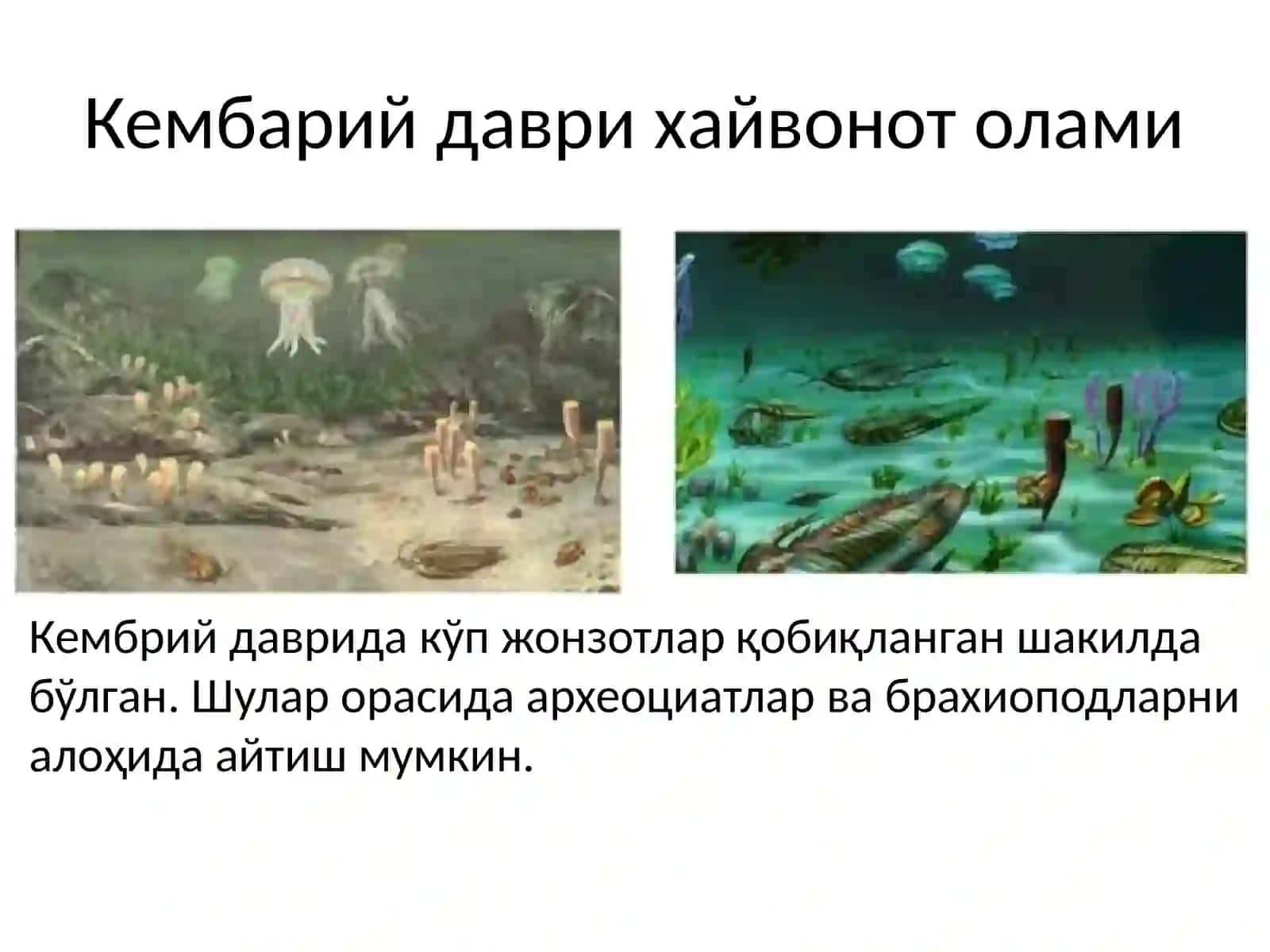 Pleystotsen davrining fauna evolyutsiyasi 3