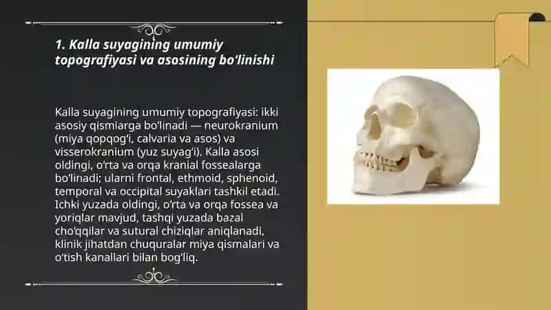 Butun kalla. Kalla suyagini asosi. Kalla suyagining topografiyasi 3