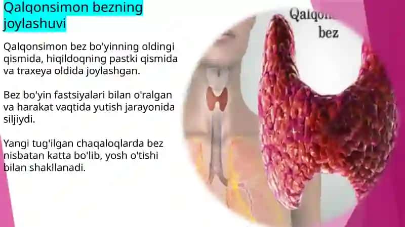 Qalqonsimon va qalqonoldi bezlarining anatomiyasi, fiziologiyasi va patologiyasi. 3