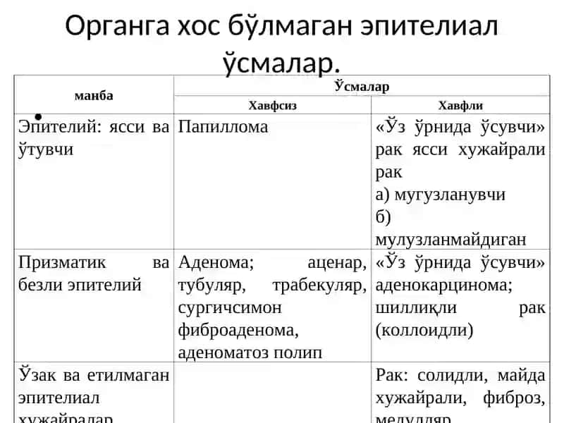 ЭПИТЕЛИАЛ ВА МЕЗЕНХИМАЛ ЎСМАЛАР 3