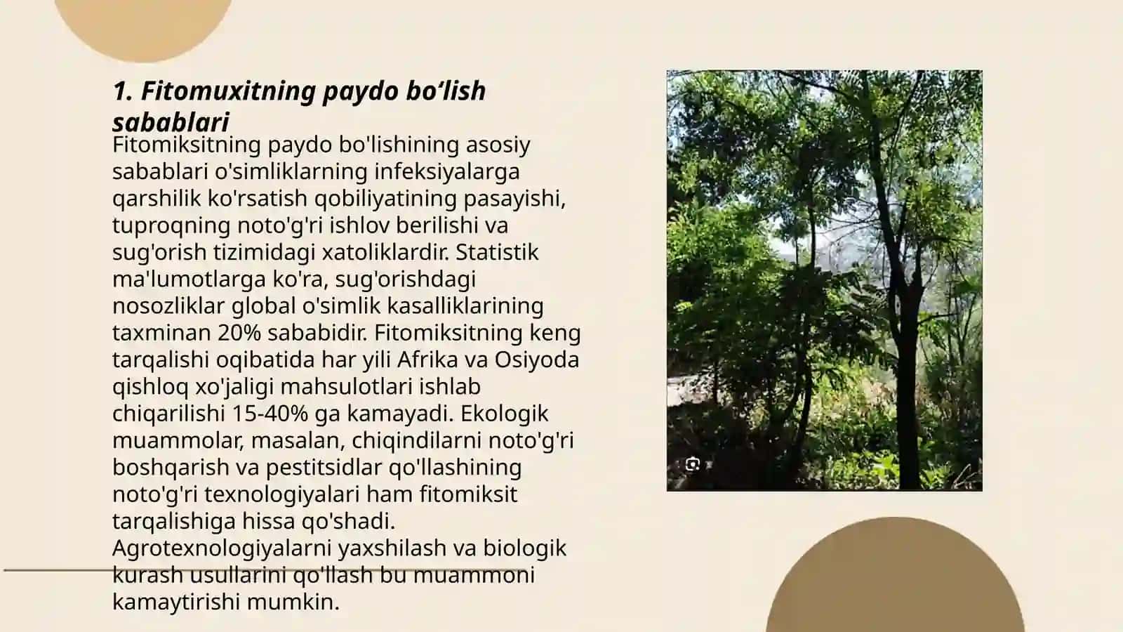 Fitomuxitning yuzaga chiqishi va ahamiyati 3