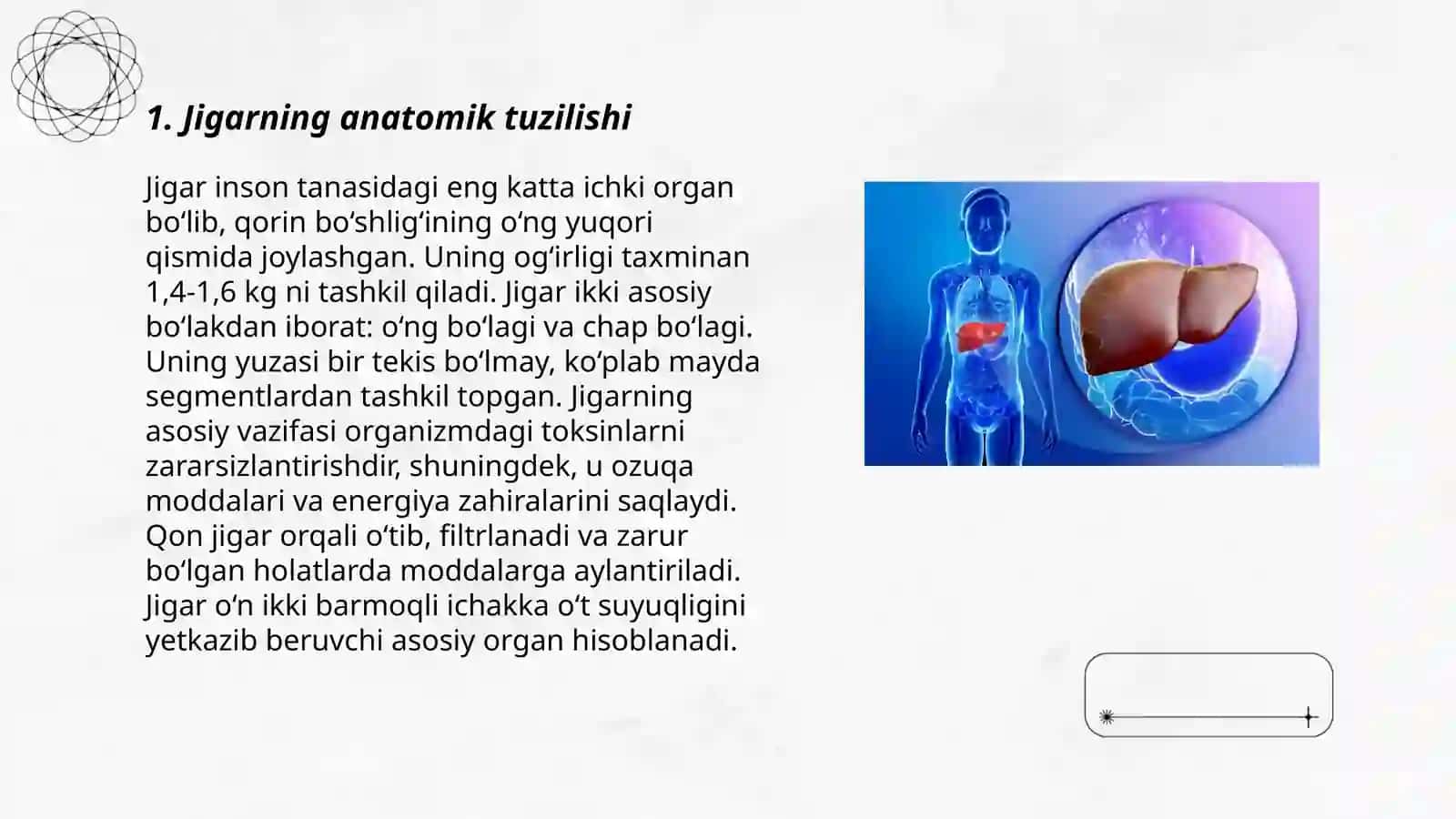 Jigarning palpatsiyasi va Kurlov bo‘yicha perkussiyasi 3