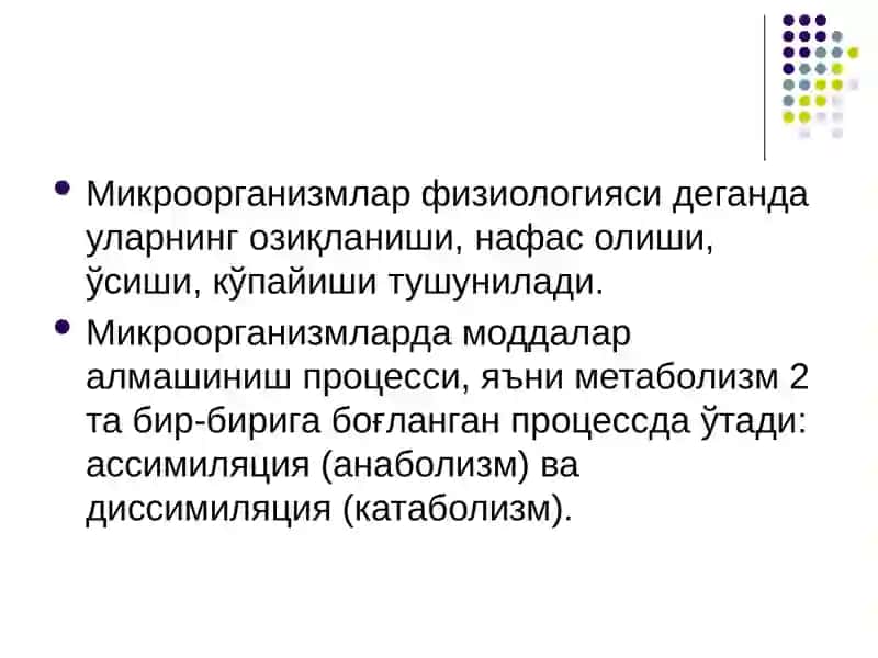 Микроорганизмлар физиологияси 3