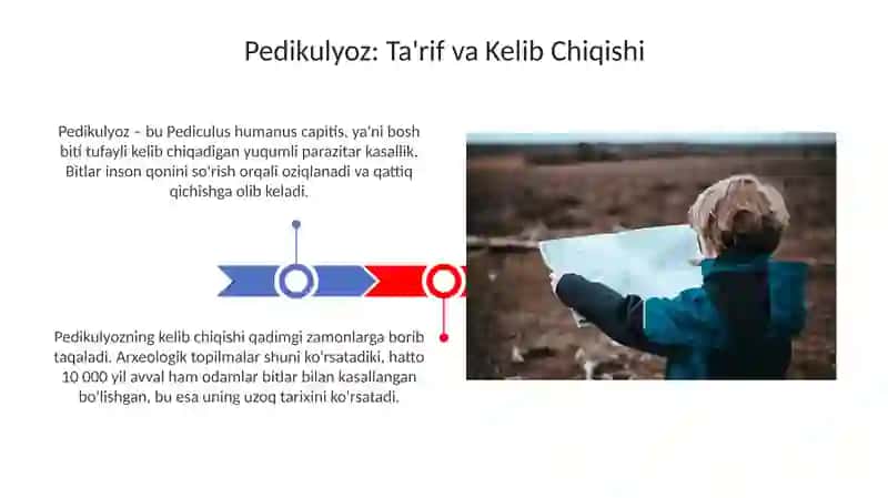 Pedikulyoz: Kelib Chiqishi va Yuqishi Yo'llari 3